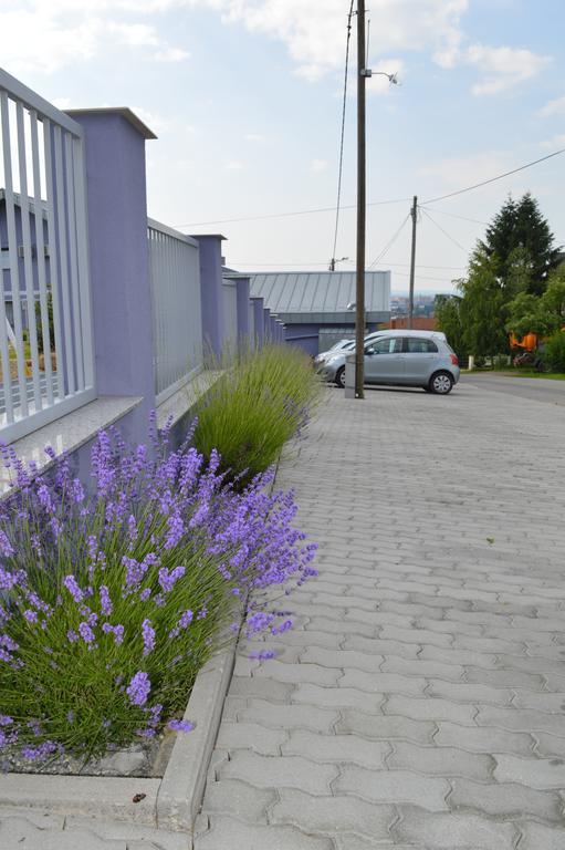 Bed and Breakfast Pansion Antonio Славонски-Брод Экстерьер фото